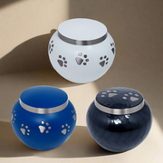 Royal Rapture Urn For Ashes Memorial Funeral Cremation Love Urns Decorative Paw Engraved Jar Pet Dog Cat 4" 6" (RPJM01)
