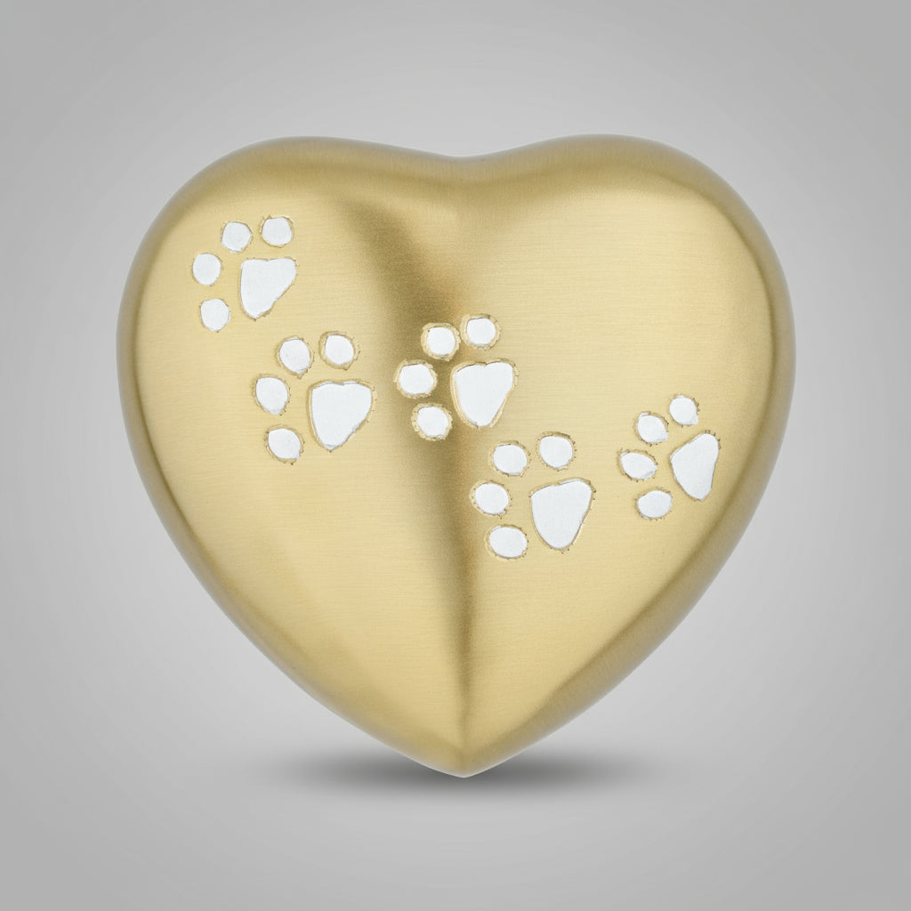 Royal Rapture Urn for ashes Paw Heart Funeral Cremation Memorial Keepsake Pet Dog Cat No Stand 6" (RHP03)